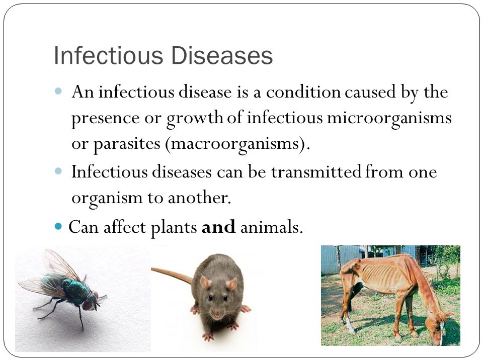 The Different Ways in Which Pathogens Can Be Transmitted